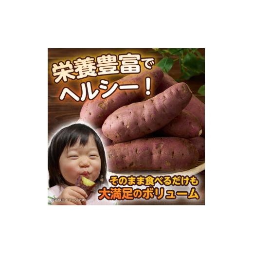 ふるさと納税 野菜類 サツマイモ 静岡県 富士市  先行予約 富士美芋 生4.5kg さつまいも 甘い 蜜がたっぷり 加熱後糖度30以上 絶品 栄養豊富 期間限定 富士市 …の画像