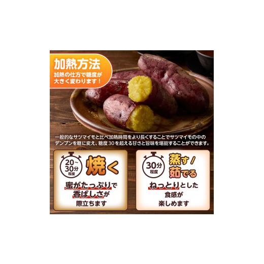ふるさと納税 野菜類 サツマイモ 静岡県 富士市  先行予約 富士美芋 生4.5kg さつまいも 甘い 蜜がたっぷり 加熱後糖度30以上 絶品 栄養豊富 期間限定 富士市 …の画像