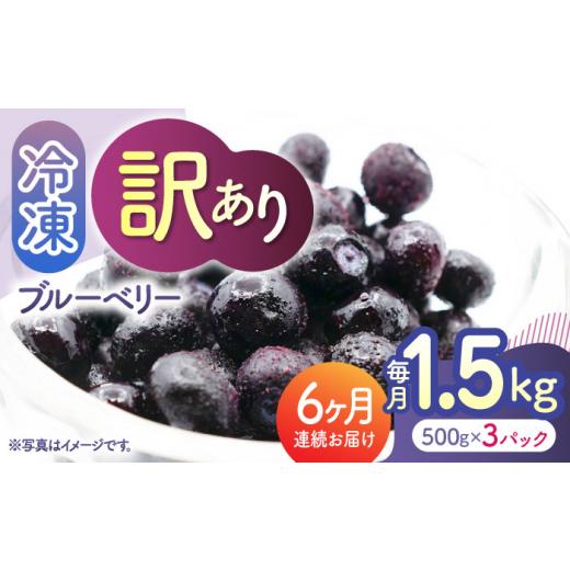 ふるさと納税 果物類 熊本県 山鹿市  先行予約 6回定期便 先行予約 訳あり 冷凍ブルーベリー 小粒 約1.5kg（約500g×3pc） 先行予約 すみれファーム ZEP052_1