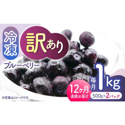 ふるさと納税 果物類 熊本県 山鹿市  先行予約 12回定期便 先行予約 訳あり 冷凍ブルーベリー 小粒 約1kg（約500g×2pc） 先行予約 すみれファーム ZEP054_1