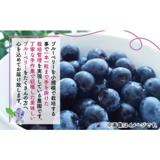 ふるさと納税 果物類 熊本県 山鹿市  先行予約 12回定期便 先行予約 訳あり 冷凍ブルーベリー 小粒 約1kg（約500g×2pc） 先行予約 すみれファーム ZEP054_6
