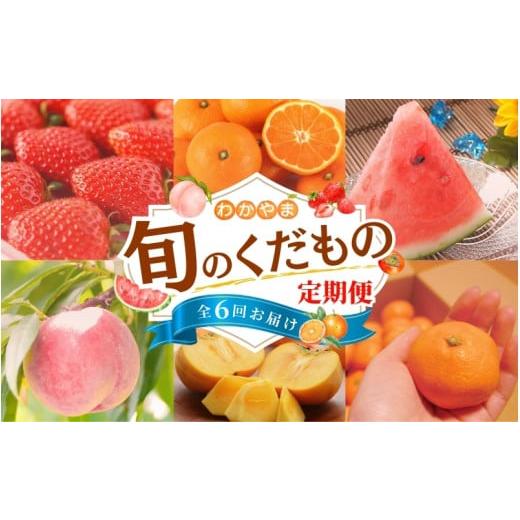 ふるさと納税 和歌山県 紀美野町 わかやま旬のくだもの定期便 全6回[S](配送日時指定不可)※北海道・沖縄・離島への配送不可 / 定期便 フルーツ まり…