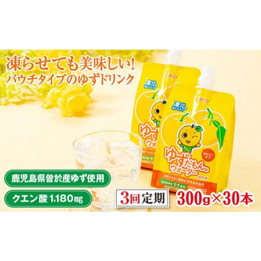 ふるさと納税 果汁飲料 鹿児島県 曽於市 30本・3回お届け ゆずだもん。ウォーター(300g×30本/3回、パウチタイプ) ゆず ドリンク パウチ 株式会社財宝 T16 3…