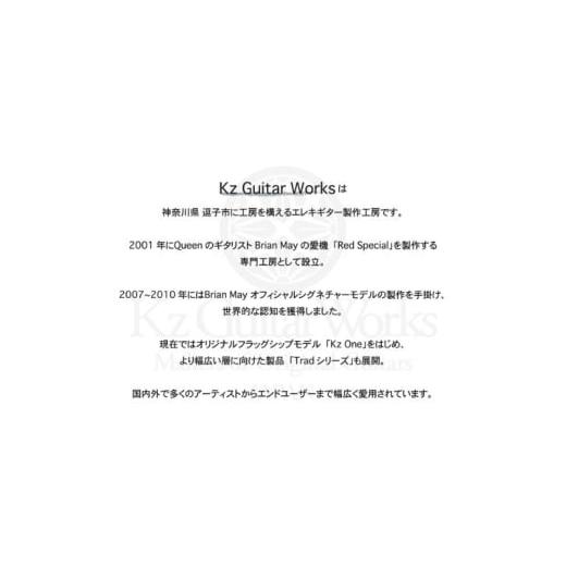 ふるさと納税 イベントやチケット等 神奈川県 逗子市 Kz Guitar Works(ケイズギターワークス) カスタムギターオーダーチケット 10万円分 ギター 専門工房 カス…_2