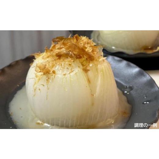 ふるさと納税 野菜類 玉ねぎ 兵庫県 南あわじ市 農家直送 淡路島新玉ねぎ 10kgサイズ色々の画像