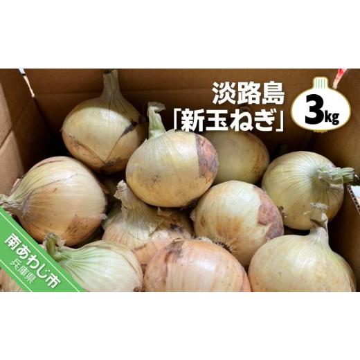 ふるさと納税 野菜類 玉ねぎ 兵庫県 南あわじ市 淡路島 「新玉ねぎ」3キロ