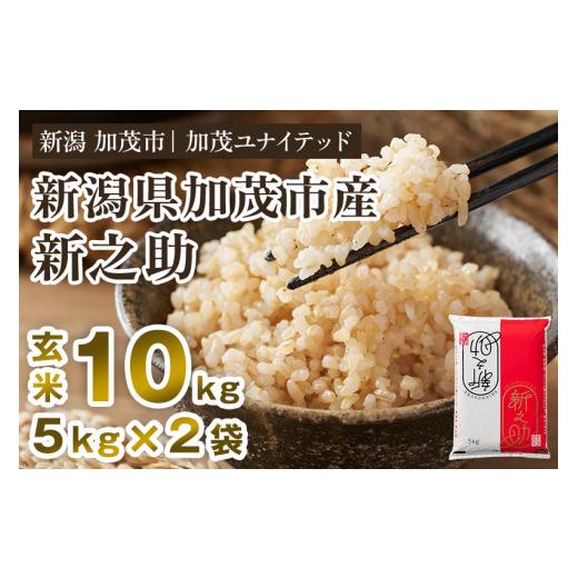 ふるさと納税 玄米 新潟県 加茂市 令和8年産新米先行予約 新潟県産 新之助 玄米 10kg(5kg×2袋)[10月上旬から順次出荷] 新潟県産新之助 新潟産新之助 加…