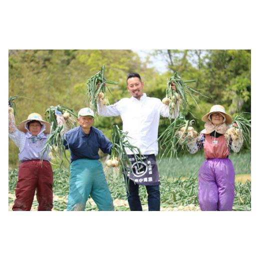 ふるさと納税 野菜類 玉ねぎ 兵庫県 南あわじ市  3ヶ月定期便 「追熟甘玉ねぎ」３kgの画像