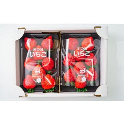 ふるさと納税 いちご 埼玉県 川島町 先行受付 期間限定 とちおとめ 大玉のみを厳選してお届け1パック約330g(容器含む)6粒〜12粒程度 2パックセット 計約66…