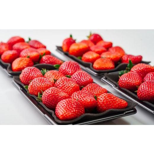 ふるさと納税 いちご 埼玉県 川島町 先行受付 期間限定 あまりん 大玉のみを厳選してお届け1パック約250g(容器含む)4パックセット 計約1,000g(容器含む…