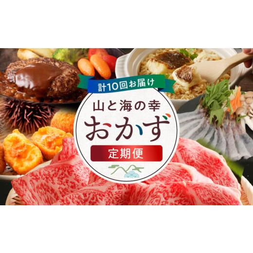ふるさと納税 惣菜・レトルト 熊本県 天草市 S999-T14_ 定期便10回 山と海の幸おかず定期便