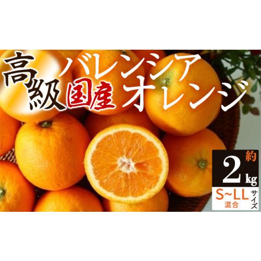 ふるさと納税 みかん・柑橘類 オレンジ 和歌山県 湯浅町 ZS6150_主井農園 高級 国産 バレンシアオレンジ 2kg サイズ混合