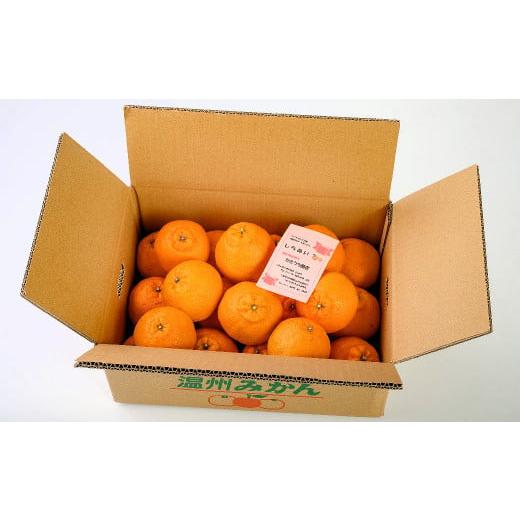 ふるさと納税 果物類 みかん 三重県 紀北町 [数量限定]今が旬 酸味と甘みのたっぷり果汁 しらぬい 4.5kg かきうち園芸