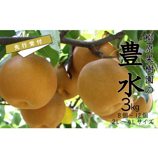 ふるさと納税 茨城県 笠間市 [先行受付]柳原果樹園の梨(豊水)3kg