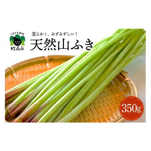ふるさと納税 野菜類 山菜 新潟県 妙高市 5月上旬より発送 天然山ふき 山菜 煮物 春の味覚 産地直送 国産 新潟県 妙高市