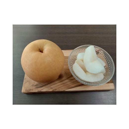 ふるさと納税 梨 三重県 松阪市 森の梨(豊水 3kg)8 月下旬から9 月中旬 1.1-13