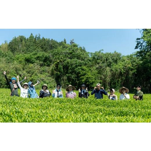 ふるさと納税 紅茶 茶葉・ティーバッグ 愛媛県 内子町 紅茶 オーガニックの本格和紅茶 春夏秋の飲み比べセット (3種 各40g 計3個) ／ べにふうき 和紅茶 詰め…_7