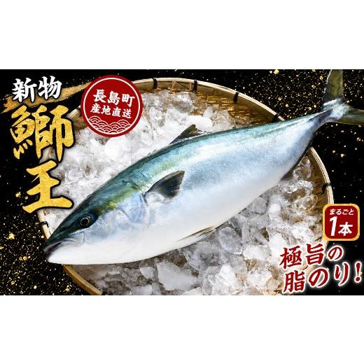ふるさと納税 旬の鮮魚等 鹿児島県 長島町 14日前後で発送中 テレビで紹介ぶりの王様 新物「 鰤王 」 まるごと 1本 (約3.0kg〜) ラウンド 先行予約 産地直…
