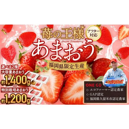 ふるさと納税 いちご 福岡県 岡垣町 予約受付 大容量あまおう 1,400g 大粒 不揃い 選べる大容量あまおう (2L,グランデ,DX デラックス)減農薬 あまおう いち…