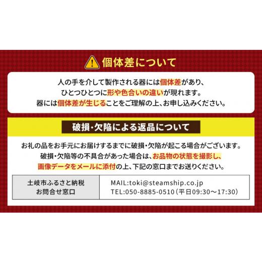 ふるさと納税 岐阜県 土岐市 【美濃焼】KANADE カレー皿 ブルー 5枚セット【丸利玉樹利喜蔵商店】おしゃれ ギフト プレゼント [MCC056]｜furusatochoice｜09