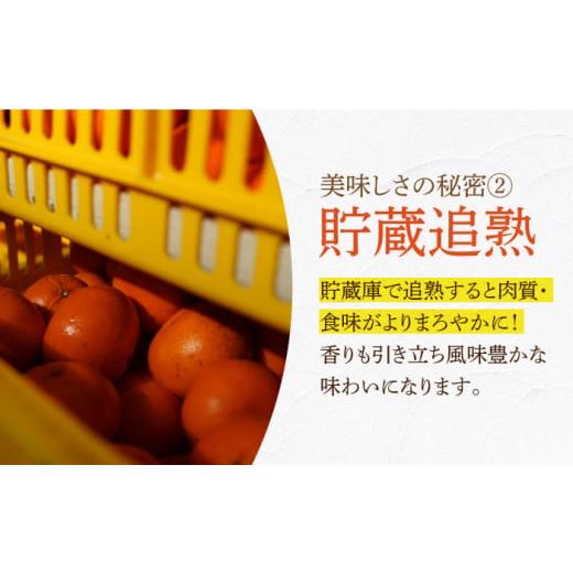 ふるさと納税 長崎県 長与町 【ご家庭用】 麗紅（れいこう） 3kg 〜2025年2月中旬より発送〜 長与町／果豊園 [ECL001] みかん 柑橘 フルーツ 季節限定 みかん …｜furusatochoice｜07