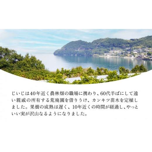 ふるさと納税 長崎県 長与町 【ご家庭用】 天草 （あまくさ） 3kg  〜2025年2月より発送〜 長与町／果豊園 [ECL002] みかん 柑橘 フルーツ 季節限定 みかん 先…｜furusatochoice｜09