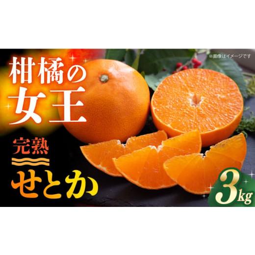 ふるさと納税 果物類 みかん 長崎県 長与町 ご家庭用 せとか 3kg ー2026年3月より発送ー 長与町/果豊園 ECL003 みかん ミカン 柑橘 かんきつ フルーツ 果物 …