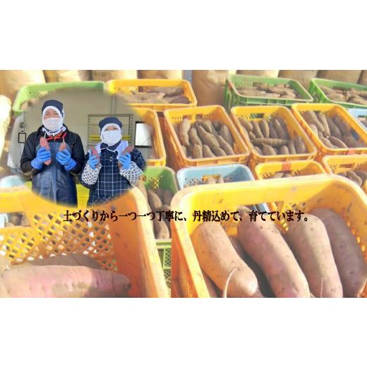ふるさと納税 野菜類 サツマイモ 茨城県 那珂市 2026年3月〜5月発送 先行予約 干し芋工房 風と太陽の小芋焼き芋 1.8kg しっとり甘い おいも いも 芋 茨城県産 …の画像