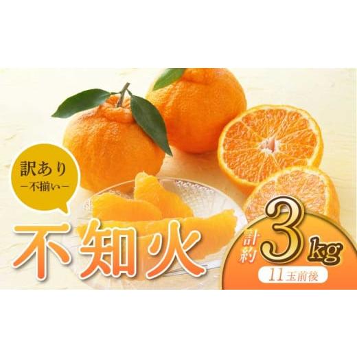 ふるさと納税 みかん・柑橘類 熊本県 宇城市 先行予約 宇城市産 訳あり品 不知火 約3kg うちやま果樹園 2026年3月上旬から6月下旬発送予定