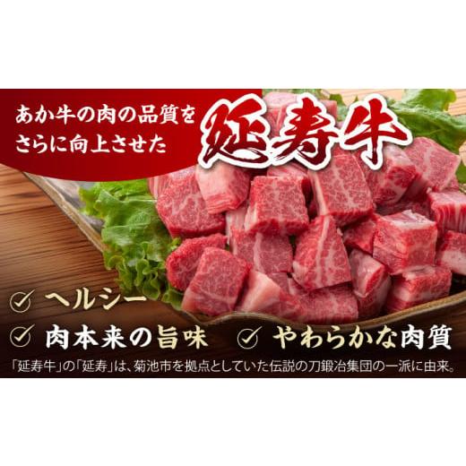 ふるさと納税 牛 ビフテキ 熊本県 山鹿市  12回定期便 熊本県産 延寿牛 あか牛 桃 賽子 ビフテキ約 1kg (500g×2P) 狭隘会社組織 九州獣肉製造 ZDQ133