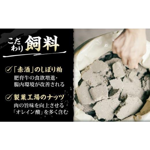 ふるさと納税 牛 ビフテキ 熊本県 山鹿市  12回定期便 熊本県産 延寿牛 あか牛 桃 賽子 ビフテキ約 1kg (500g×2P) 狭隘会社組織 九州獣肉製造 ZDQ133