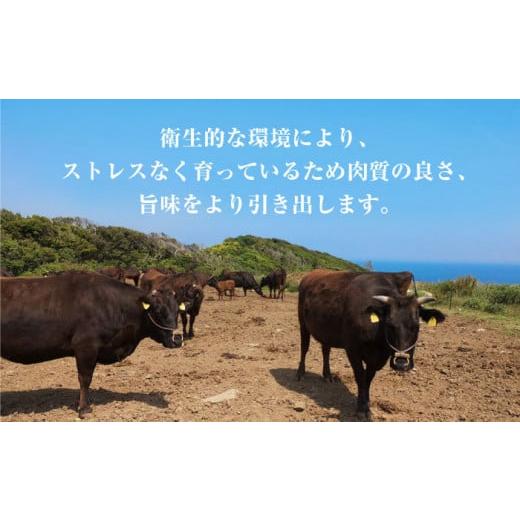 ふるさと納税 牛 ビフテキ 熊本県 山鹿市  12回定期便 熊本県産 延寿牛 あか牛 桃 賽子 ビフテキ約 1kg (500g×2P) 狭隘会社組織 九州獣肉製造 ZDQ133