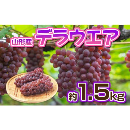 ふるさと納税 果物類 ぶどう 山形県 山形市 デラウエア 秀品 約1.5kg(5〜10房) 令和8年産先行予約 FS23-881 くだもの 果物 フルーツ 山形 山形県 山形市 2026…
