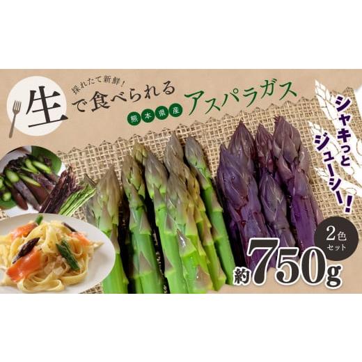 ふるさと納税 野菜類 アスパラガス 熊本県 玉名市 生で食べれる ? アスパラガス 2色 セット( グリーン ・ パープル )約 750g |野菜 アスパラ ソムリエ 新鮮…