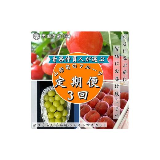 ふるさと納税 果物類 さくらんぼ 山形県 山形市 定期便3回 青果仲買人が選ぶ 山形旬のフルーツ3選 さくらんぼ・白桃・シャインマスカット 令和8年産先行予約 …