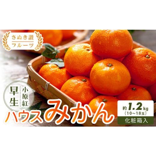 ふるさと納税 果物類 みかん 香川県 小豆島町  さぬき讃フルーツ 小原紅早生ハウスみかん 化粧箱入り 約1.2kg (10〜18玉入り) 柑橘 フルーツ 果物 くだもの 柑… |  | 01