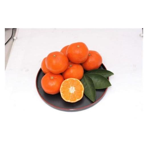 ふるさと納税 果物類 みかん 香川県 小豆島町  さぬき讃フルーツ 小原紅早生ハウスみかん 化粧箱入り 約1.2kg (10〜18玉入り) 柑橘 フルーツ 果物 くだもの 柑… |  | 02