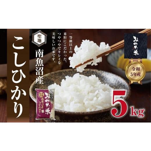 ふるさと納税 米 コシヒカリ 新潟県 南魚沼市 令和7年産 南魚沼産こしひかり みやた米5kg