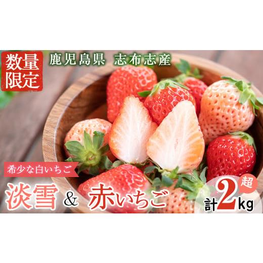 ふるさと納税 いちご 鹿児島県 志布志市 鹿児島県産いちご 志布志発祥白いちご「淡雪」4Pと季節おまかせ赤いちご4Pセット(計2kg・約270g×8P) c0-015 淡雪&赤…