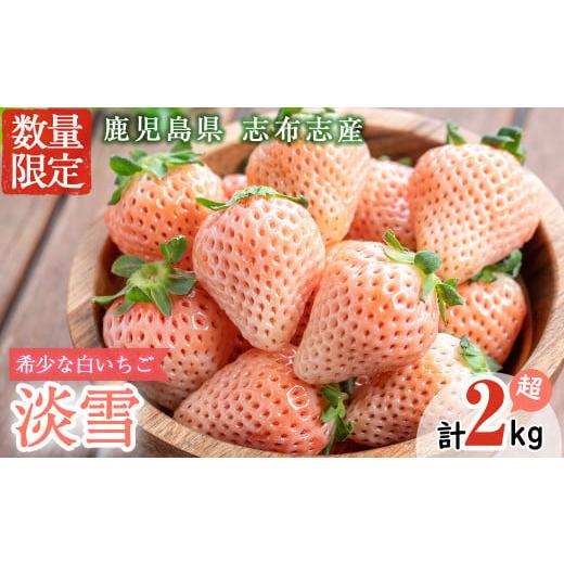 ふるさと納税 いちご 鹿児島県 志布志市 鹿児島県産いちご 特別栽培農産物 いちごの村から朝摘み「淡雪」8Pセット(計2kg・約270g×8P) e0-047 淡雪 計2kg