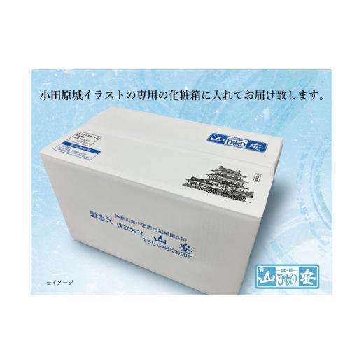 ふるさと納税 神奈川県 小田原市 【小田原　山安】おまかせ干物セット　約３ｋｇ【 干物 神奈川県 小田原市 】｜furusatochoice｜06