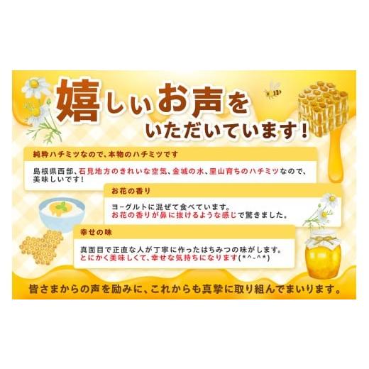 ふるさと納税 加工品等 はちみつ 島根県 浜田市 水のきれいな浜田市金城町産「いわみの里山 純粋はちみつ」500g×2本 蜂蜜 ハチミツ 百花蜜 瓶 184_1906の画像