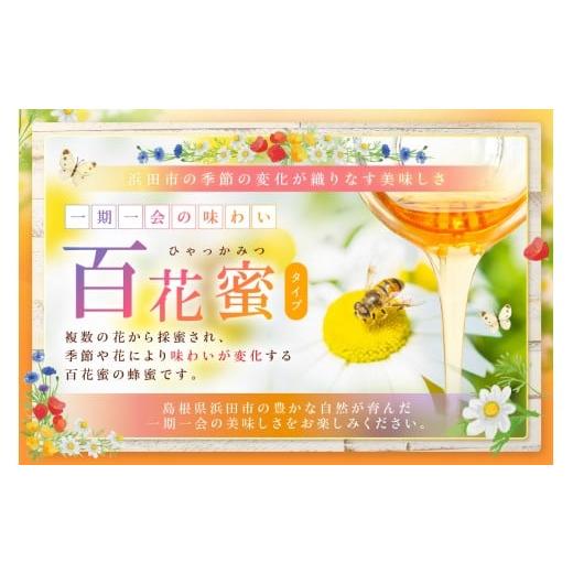 ふるさと納税 加工品等 はちみつ 島根県 浜田市 水のきれいな浜田市金城町産「いわみの里山 純粋はちみつ」500g×2本 蜂蜜 ハチミツ 百花蜜 瓶 184_1906の画像