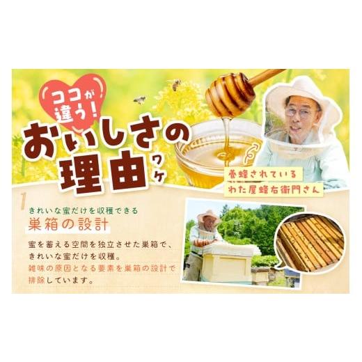 ふるさと納税 加工品等 はちみつ 島根県 浜田市 水のきれいな浜田市金城町産「いわみの里山 純粋はちみつ」500g×2本 蜂蜜 ハチミツ 百花蜜 瓶 184_1906の画像