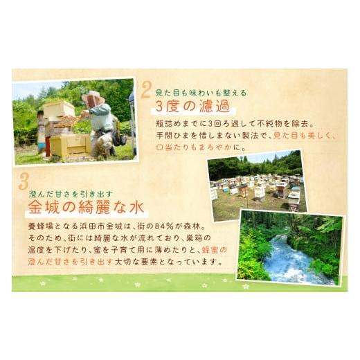 ふるさと納税 加工品等 はちみつ 島根県 浜田市 水のきれいな浜田市金城町産「いわみの里山 純粋はちみつ」500g×2本 蜂蜜 ハチミツ 百花蜜 瓶 184_1906の画像