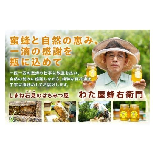 ふるさと納税 加工品等 はちみつ 島根県 浜田市 水のきれいな浜田市金城町産「いわみの里山 純粋はちみつ」500g×2本 蜂蜜 ハチミツ 百花蜜 瓶 184_1906の画像