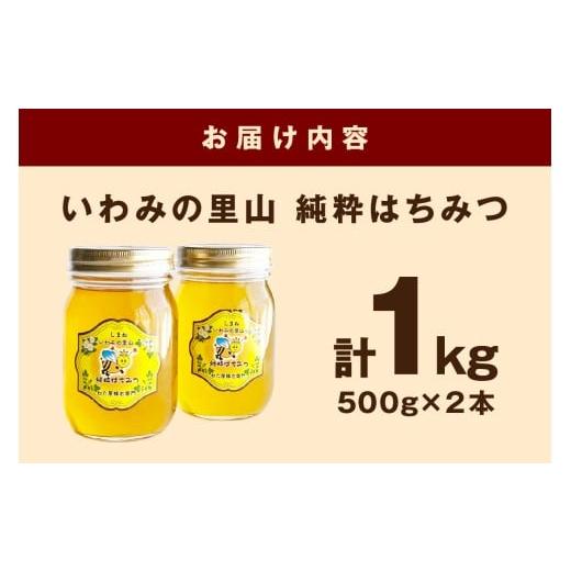 ふるさと納税 加工品等 はちみつ 島根県 浜田市 水のきれいな浜田市金城町産「いわみの里山 純粋はちみつ」500g×2本 蜂蜜 ハチミツ 百花蜜 瓶 184_1906の画像
