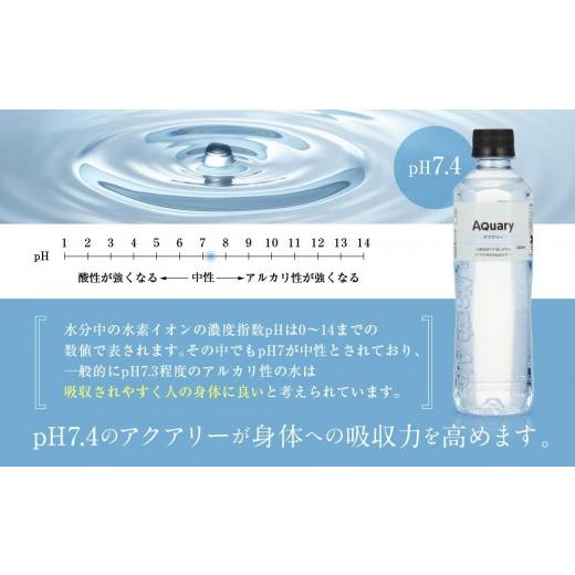 ふるさと納税 水・ミネラルウォーター 〜499mL 岐阜県 高山市 天然水