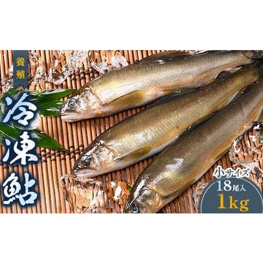 ふるさと納税 熊本県 嘉島町 FKK19-829 養殖冷凍鮎 (小:18尾入×1) 1kg