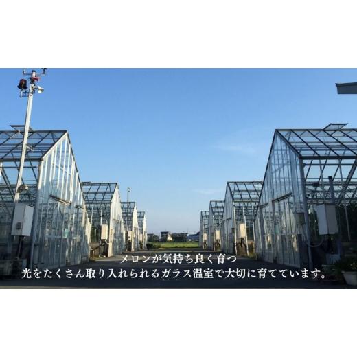 ふるさと納税 お食事券 静岡県 袋井市  お食事券 2名様分 農家カフェで味わうメロンパフェとメロン紅茶セット_4